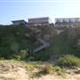 Whale Beach