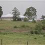 Wingham