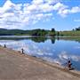 Wingham