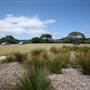 Yarra Bay Beach, Yarra Point & Bicentennial Park