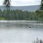Yarramundi Reserve South
