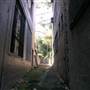 Surry Hills - Sophia Lane