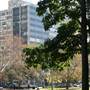 Hyde Park and Archibald Fountain - Sydney CBD