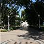 Hyde Park and Archibald Fountain - Sydney CBD