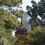 Hyde Park and Archibald Fountain - Sydney CBD