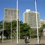 Hyde Park and Archibald Fountain - Sydney CBD