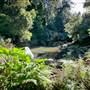 Red Cedar Flat picnic area