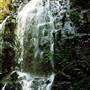 Tristania Falls - Dorrigo National Park