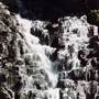 Tristania Falls - Dorrigo National Park