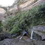 Wentworth Falls - Blue Mountains National Park