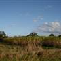 Tweed Valley 2 of 2