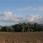 Tweed Valley 2 of 2