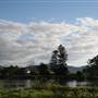Tweed Valley 2 of 2