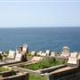 Waverley Cemetery