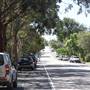 Castlecrag roads