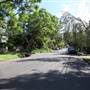 Lindfield