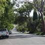 Lindfield