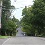 Bannockburn Rd - Pymble