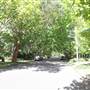 Bareena Ave - Pymble