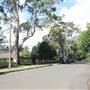 Braeside St - Pymble