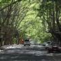 Water St - Pymble