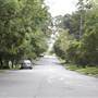Congham Rd - Pymble