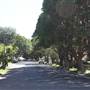 Willoughby neighbourhood