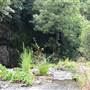 Killen Falls
