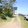 Bare Island
