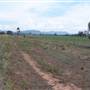 Baradine to Coonabarabran road