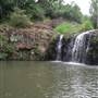 Cascade Falls Farm