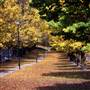 Armidale Area