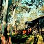 Armidale Area