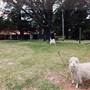 Jervis Bay Area