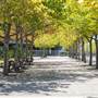 Sydney Showground - Amenities