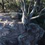 Bushrangers Cave