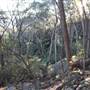 Bardens Lookout