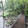 Minnamurra Rainforest Walk