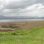Lake Illawarra South-Boonerah