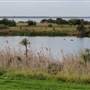 Lake Illawarra North-Budjong Creek Wetland