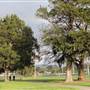 Lake Illawarra North-Budjong Creek Wetland