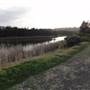 Lake Illawarra North-Budjong Creek Wetland