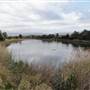 Lake Illawarra North-Budjong Creek Wetland