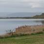 Lake Illawarra North-Holborn Park