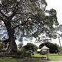 Shellharbour 2