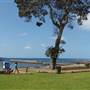 Shellharbour 2