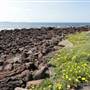 Shellharbour 2