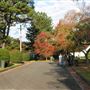 American style - houses & streets