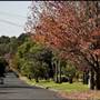 American style - houses & streets