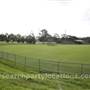 Janise Crosio Field
